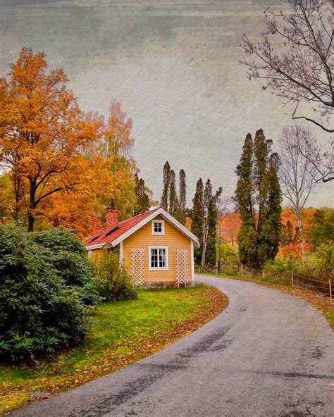 🇸🇪 autumn road sweden by adelmann photo art 🍂cr photo