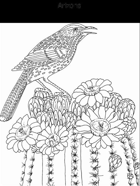 state flower  state bird coloring page animal coloring pages owl