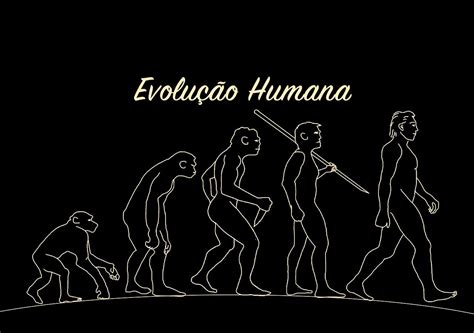 evolucao humana evolucao humana evolucao evolucionismo