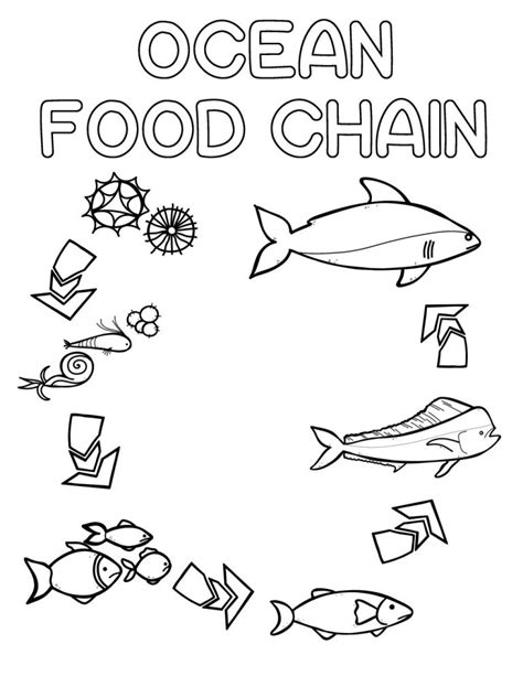 ocean food chain colouring book thrifty mommas tips