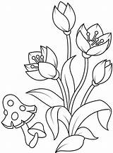 Bloemen Malvorlagen Supercoloring Stemmen Tinamics Sitemap Blumen sketch template