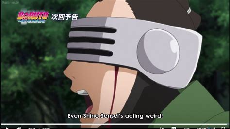 Why Shino Wear Glasses Naruto Amino