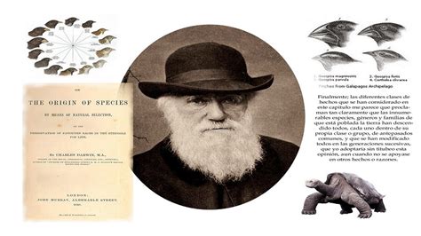 24 De Noviembre De 1859 Cuando Darwin Escribió El Origen De Las Especies