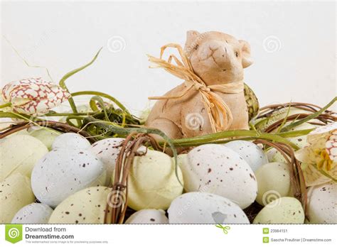 easter bunny  eggs stock image image  concept celebration