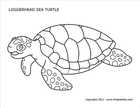sea turtles  printable templates coloring pages fish coloring