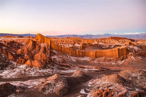 surviving  atacama desert