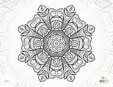Intricate Detailed Coloringhome Mandala sketch template