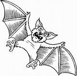 Fledermaus Ausmalbilder Drucken Bats Divers Malvorlagen sketch template