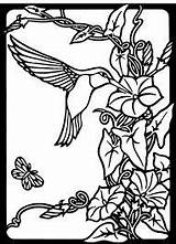 Hummingbird Tharens sketch template