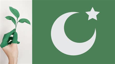 pakistan green