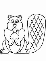 Castor Castores Beaver Biber 1604 Plansa Animali Colorat Nininha Vari Patchcolagem Owl2 Colorido sketch template