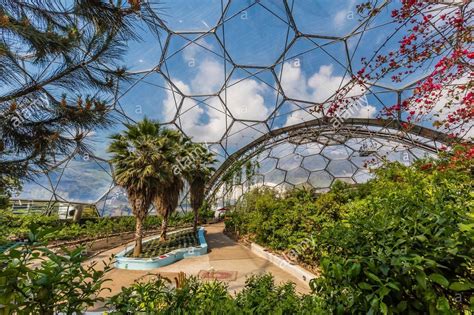 Eden Project The Eden Project Old Mine S So Amazing Places In The