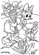 Coloring Pages Duck Donald Disney Daisy Color Printable Kids Sheet Sheets Cartoon Found Print Dibujos sketch template