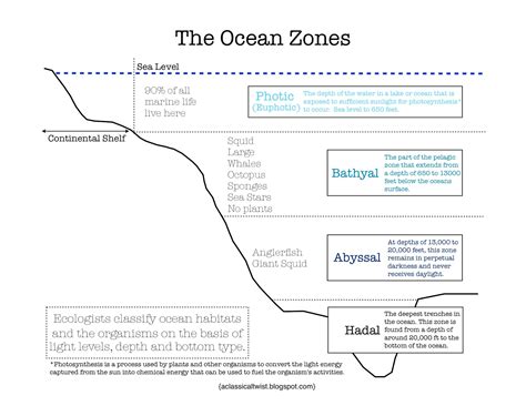 homeschooling   classical twist ocean zones printable