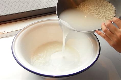 tahu  manfaat rahasia air cucian beras