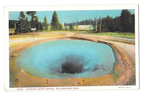 Wy Yellowstone Park Morning Glory Hot Spring Vtg Haynes Postcard 1928
