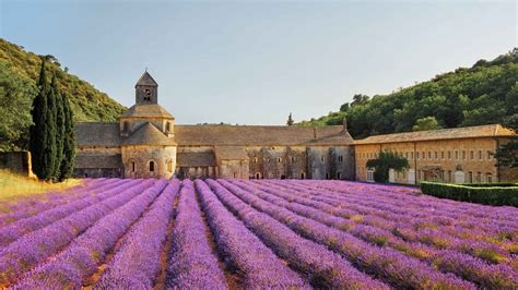 provence  top  tours activities    getyourguide