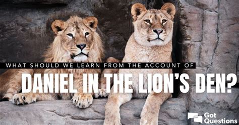 learn   account  daniel   lions den