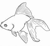 Fish Cartoon Coloring Pages Getcolorings Printable Color Sheet sketch template