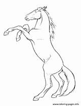 Horse Coloring Rearing Pages Mustang Drawing Appaloosa Printable Horses Head Realistic Legs Hind Drawings Color Deviantart Outline Draft Sketch Getcolorings sketch template