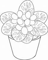 Violet African Coloring Pages Flower Drawing Pot Getdrawings Print sketch template