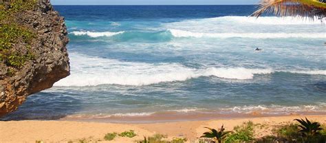 barbados beaches tranquil shores to lively waves