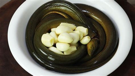 大厨教你做一道蒜子烧黄鳝，鲜香入味又解馋，年夜饭就做这道菜braised Eel With Garlic；ricefield Eel