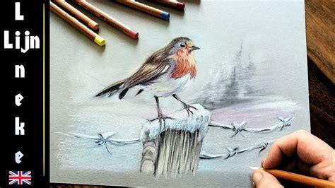 easy robin  beginners pastel pencil drawing youtube