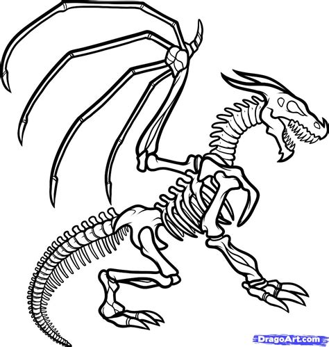 How To Draw A Dinosaur Skeleton Step By Step At Drawing Tutorials