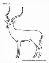 Impala Printable Coloring Pages Firstpalette sketch template