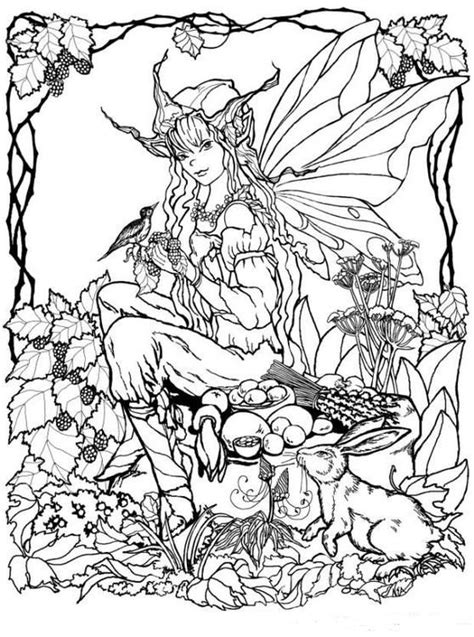 top  ideas  fairy coloring pages  pinterest amy brown