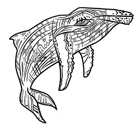 whale outline clipart