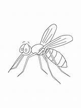 Mosquito Malaria sketch template