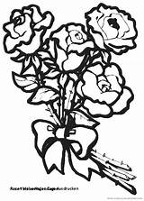 Rosen Ausmalen Blumen Frisch Okanaganchild Genial sketch template