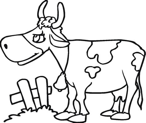 texas longhorn  coloring page  printable coloring pages  kids