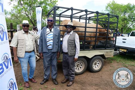 Bull Donation Initiative Botswana Youth Magazine