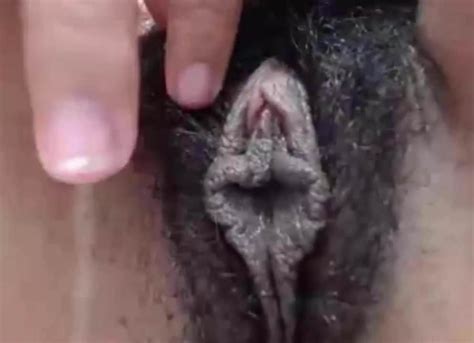 an exotic hairy black lips pussy free hd porn fa xhamster