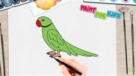 green parrot easy simple drawing paint  kidz youtube
