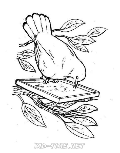 birds bird feeder animals coloring book pages kids time fun places