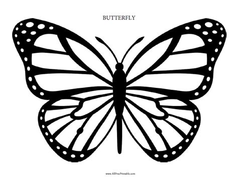 butterfly coloring page  printable