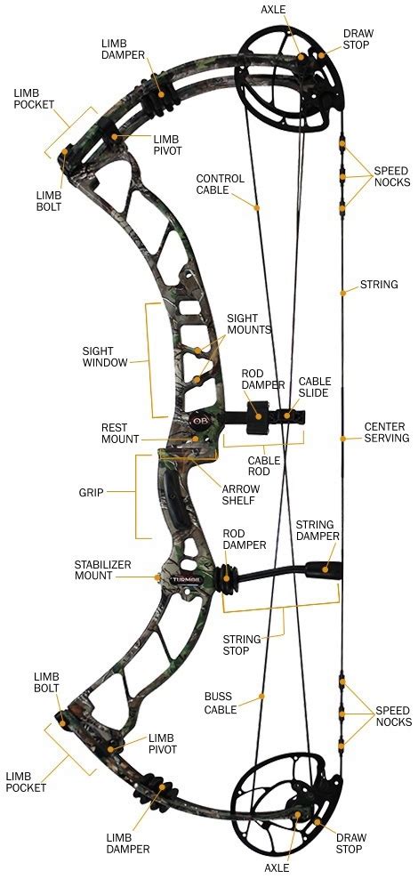compound bow specifications  jargon chapter  hunters friend compound bow archery