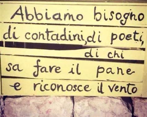 I Miei Sogni D Anarchia Calabria Anarchica Anarchia Citazioni