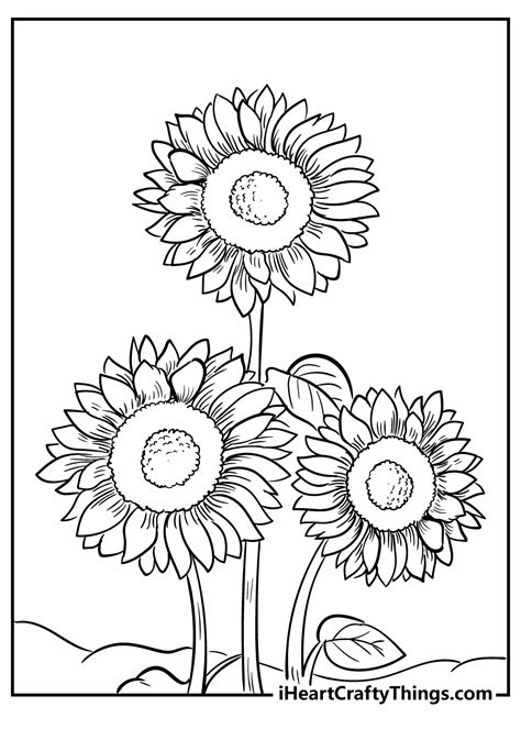 sunflower coloring pages  adults