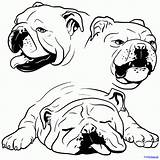 Bulldog English Bull Drawing Coloring Face Goldendoodle Pages Bulldogs Draw Easy Drawings Cartoon Puppy Step Color French Puppies Getdrawings Kids sketch template