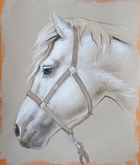 draw  white horse    draw