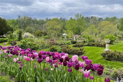 blooming arboretums  botanical gardens  visit  philly secret
