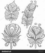 Feathers Adult Tribal Coloring Decorative Ornament Doodle Book Drawn Hand Vector Stock Shutterstock Feather Choose Board Pages sketch template