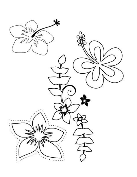 tropical flower coloring pages flower coloring page