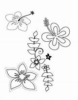Coloring Pages Flower Tropical Hawaiian Plumeria Flowers Hawaii Printable Luau Themed Choose Color Print Drawing Colouring Popular Getcolorings Board Comments sketch template