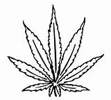 Marijuana Coloring Pages Leaf Weed Getdrawings sketch template